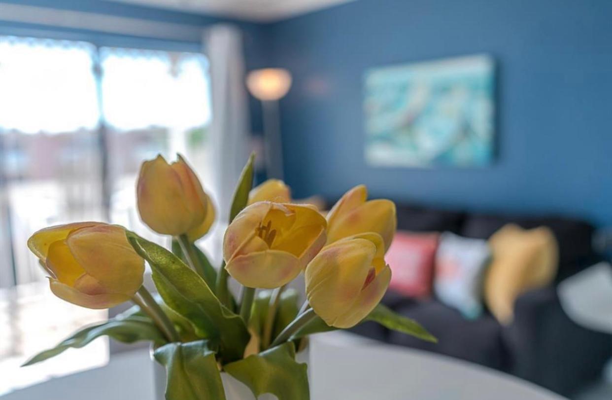 Beach Escape - Top Floor Ocean Views - Heated Pool - Seawall Blvd 갤버스턴 외부 사진